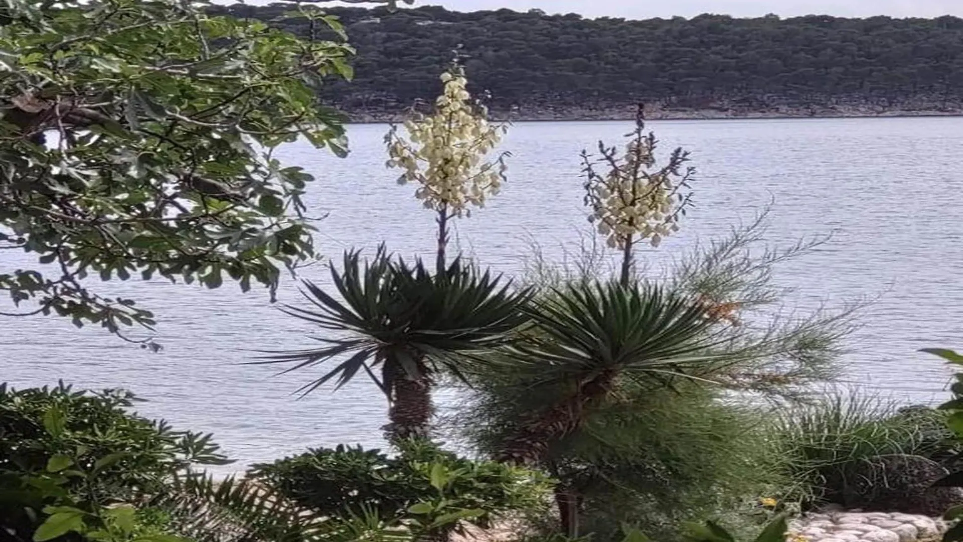 Seafront Apt On Sunny Rab Island - Neda Maslina Kampor 0*,